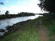 El Ro Guadalquivir a su paso por Peaflor. Sevilla